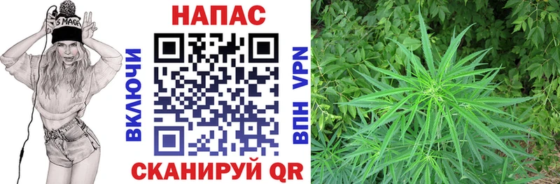 Купить закладку Бошки Шишки  A-PVP  БУТИРАТ  Псилоцибиновые грибы  Кокаин  Меф  Кирово-Чепецк