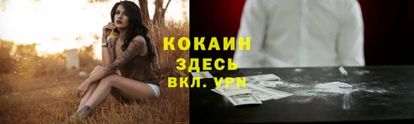 шишки Нижневартовск